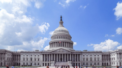 聯邦參議院將就大選舞弊舉行首次聽證會(圖)