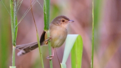 知道局限就不会太消极(图)