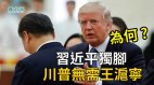 為何習近平偏要一隻腳走路川普不需要王滬寧