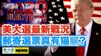 美大選最新戰況郵寄選票真有貓膩
