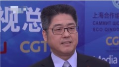 中共副外长公开表态承认拜登是代理人(组图)