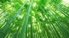 收留世家女不貪色陰德感天延壽二十五年(圖)