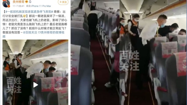 有网友爆料，11月4日祥鹏航空有乘客称搭乘的8L9838次航班机舱内惊现一只老鼠（图片来源：微博）