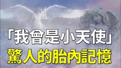 胎内记忆惊人真相－我们都是天上的小天使(视频)