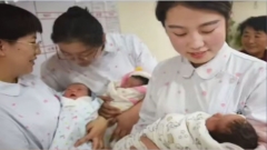 中国生育率跌破警戒线官员支招网友怒怼(图)