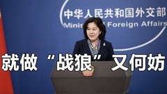 菜英文華春瑩被揭複製谷歌翻譯發言(組圖)