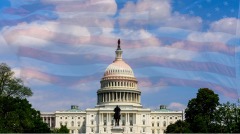 19議員緊急發函：參眾兩院立即聽證欺詐(圖)