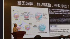 揭「基因編輯58嬰兒」中國公司闢謠民間罵爆(組圖)