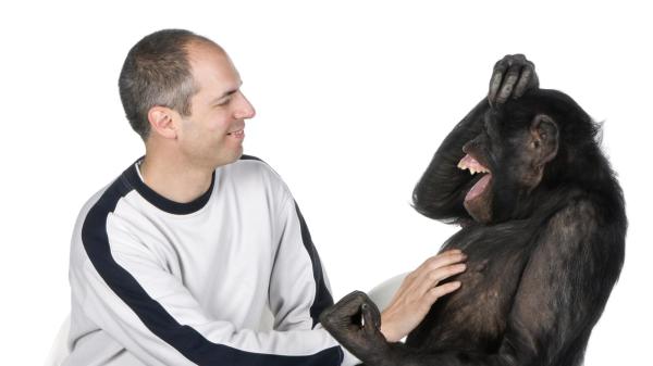 男子和黑猩猩