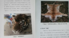 中國一動物救護中心官員被曝請客吃東北虎獅子肉(圖)