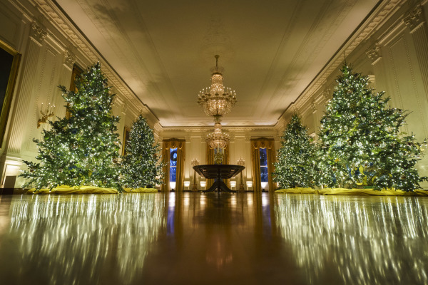 2020白宫圣诞装饰，主题是“美丽的美国”（America the Beautiful），图为白宫东厅（East Room）。（图片来源：Drew Angerer/Getty Images）