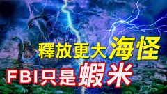 鲍威尔将放更大“海怪”FBI‧CIA和司法部只算小虾米(视频)