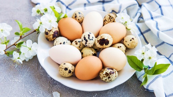 补充鹌鹑蛋对过敏性鼻炎患者有益。