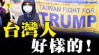 台灣人好樣的明白真相的「挺川普大遊行」(視頻)
