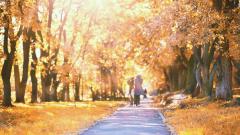 女孩有神奇能力可以接触另外空间生命(图)