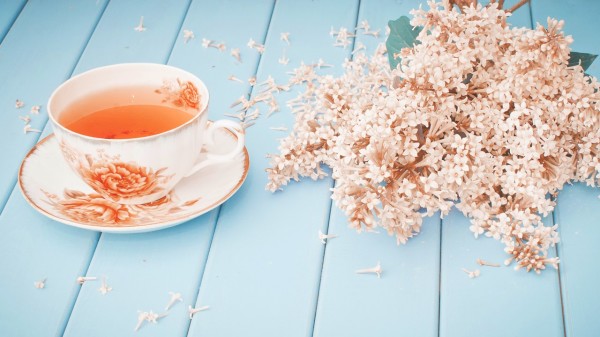 茶叶含有与人体健康密切相关的成分，平时应多喝茶。