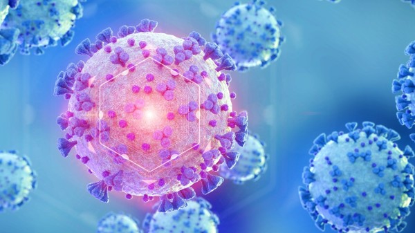 英國專家認為，目前或已出現COVID-19超級變異病毒株，將引發更大疫情危機。圖為冠狀病毒示意圖。