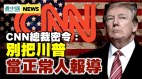 袁弓夷：弗林將軍將主導大逮捕