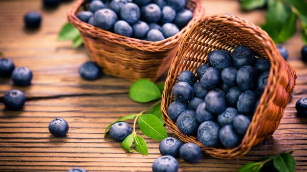 藍莓可以養護肝臟，原因是含有大量的維生素和花青素。