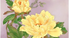 活着毋需抱怨一切自有安排(图)