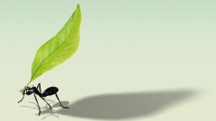 不慌是种底气不乱是种境界(图)