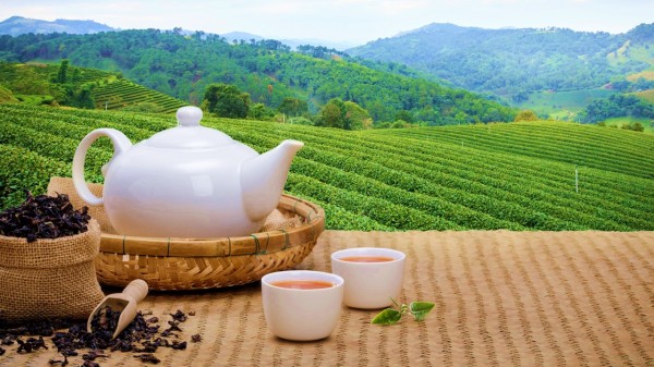 中国人喝茶历史悠久，每天喝几杯茶，是长寿茶、防癌茶。