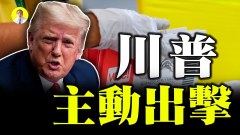 啟用叛亂法外國勢力參與大選舞弊中共對美國發動攻擊(視頻)