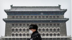 武漢大疫之下生存還是毀滅(圖)