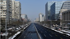 病毒摧毀大陸治理機制漸凍巨人徵兆已顯(圖)