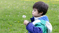 家有过敏儿春游小心花粉热(组图)