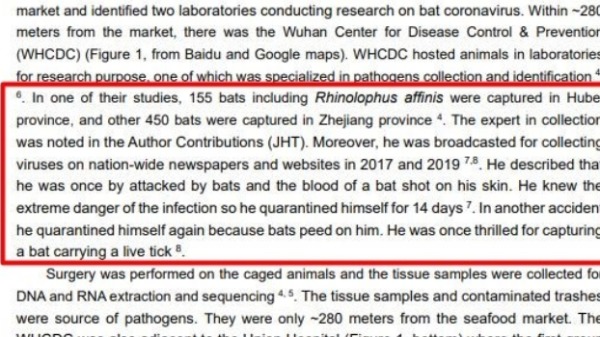 《新型冠狀病毒（COVID-19）源頭可能性》報告提及，實驗室曾經捕捉蝙蝠研究冠狀病毒，且有研究員遭蝙蝠血與尿沾染到了，而採取自我隔離
