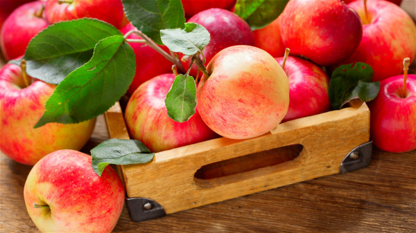 苹果含有丰富的维生素、钙、苹果酸、矿物质等营养元素，可以促进人体的代谢。