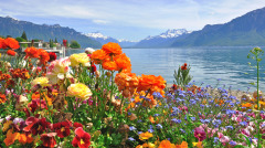 方婆婆选女婿方法堪称绝妙(图)