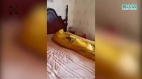 发现感染第2天离世