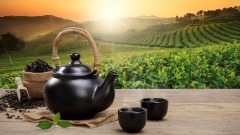 这四种人自带贵气不要错过(组图)