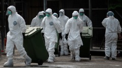 驚中共肺炎沒完湖南再爆H5N1禽流感(圖)