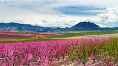 得道成仙者令人惊叹的神通(图)