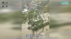 汉阳对面艳阳天小区出现好多警车