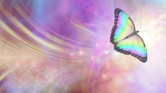 科学惊人发现：人不会真正死亡(图)