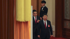 紅後代引反習風潮三宗事或涉「引蛇出洞」(圖)