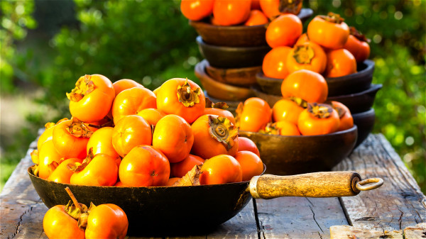 高血压与冠心病病人可以取柿子榨汁，作防治中风急用品。