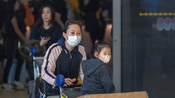 中國全面限制醫用口罩等醫用防護裝備的出口
