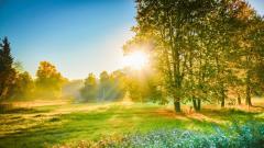 当植物遇见测谎仪“万物有灵”的真实体现(组图)