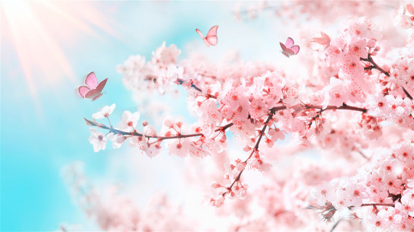「春宵一刻值千金」出自於北宋大詩人蘇軾的作品《春宵》。