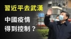 唐柏橋：中國的疫情是否真的得到控制了習近平為什麼要在這個時候去武漢