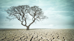 战胜旱魔非难事古代历史神迹多(图)