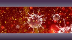 美议员为新冠征名传投票多为中国人胜出的是...(图)