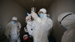混合H5N1與H1N1病毒揭中共曾造127種新病毒(組圖)