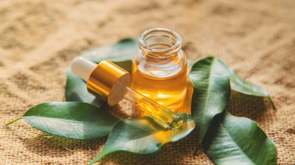 “茶树精油”是继薰衣草精油后，另一款可以直接用于皮肤上的精油。