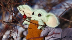 外星人寶寶墜落校園引起轟動媒體採訪(圖)